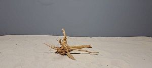 Коряга Сакура мини, до&nbsp;10&nbsp;см