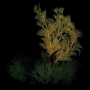 Композиция из&nbsp;светящихся растений Laguna, розовая с&nbsp;бордовым, 120&nbsp;мм