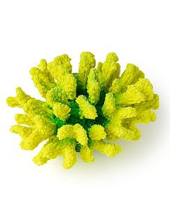 Кр-1547 Коралл брокколи желто-зелёный, 14*13*7 см