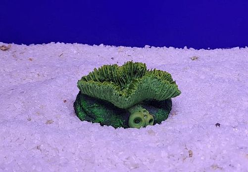Кр-1817 Коралл Гониопора, Зелено-Желтый 7х5×4 см