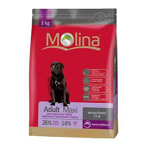 Корм Molina Adult Maxi для взрослых собак крупных пород
