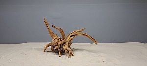 Коряга Сакура S, 15&minus;25&nbsp;см