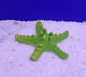 Кр-817&nbsp;Звезда малая, Зелено-Желтый 8х8&times;2&nbsp;см