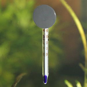 JBL Aquarium Thermometer Mini миниатюрный аквариумный термометр, 60&nbsp;мм