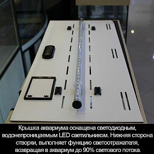 Аквариум START-UP 60&nbsp;белёный дуб, светильник LED 11&nbsp;Вт, комплект оборудования