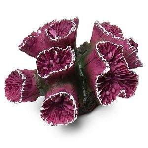 Коралл Laguna искусственный «Кауластрея», бордовая, 90х85×50 мм