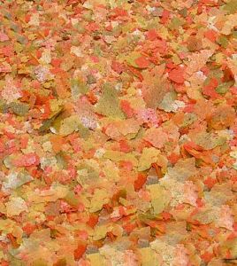 Основной корм JBL NovoBel для пресноводных аквариумных рыб, хлопья 10,5 л