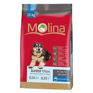 Корм Molina Junior Maxi для щенков крупных пород
