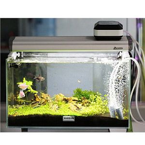 Компрессор SunSun CP-202 AC/DC регулируемый, двухканальный, 1,5 Вт, 2×2,5 л/мин