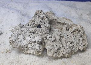 Камень сухой рифовый, плоский, 1&nbsp;кг