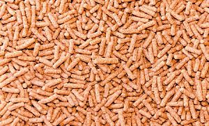 Основной корм Biodesign ЦИХЛИД & АРОВАНА-СТИКС для цихлид, арован и&nbsp;хищных рыб, плавающие палочки 11&nbsp;л