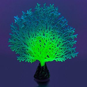Флуоресцентная аквариумная декорация GLOXY Коралл веерный зеленый, 13,5х3&times;16&nbsp;см