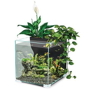 Аквариум Laguna Botanic, черный, 9,4&nbsp;л, 243х203&times;236&nbsp;мм