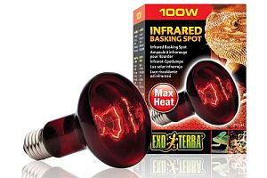 Exo Terra INFRARED BASKING SPOT инфракрасная лампа для террариума, 100 Вт