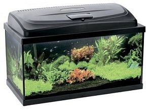 Аквариум Aquael Classic LED PAP 80&nbsp;прямой, 112&nbsp;л, 80х35&times;40&nbsp;см