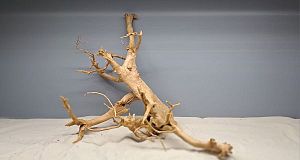 Коряга Сакура М, 30&minus;40&nbsp;см