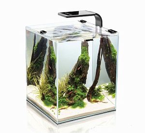 Aквариум Aquael SHRIMP SET SMART LED PLANT ll 10, черный, 10 л