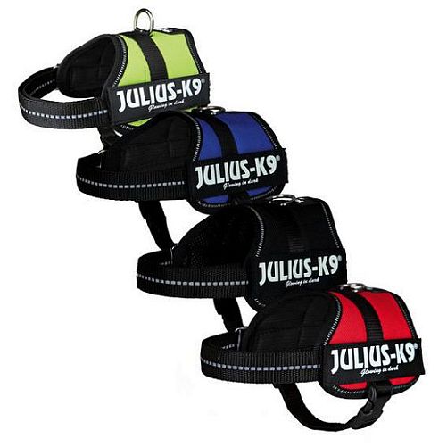 Trixie hot sale julius k9