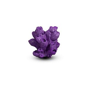 Коралл Барнакл Фиолетовый 11х9×8 см