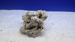 Камень сухой рифовый S, до&nbsp;10&nbsp;см, 200&minus;300&nbsp;г
