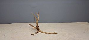 Коряга Сакура мини, до&nbsp;10&nbsp;см