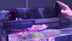 Аквариум с&nbsp;тумбой Red Sea MAX Nano морской, белый, 75&nbsp;л