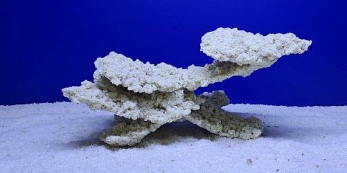 Камень Рифовый Белый, 31х21х16 см, 1700 г