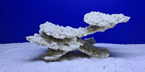 Камень Рифовый Белый, 31х21х16 см