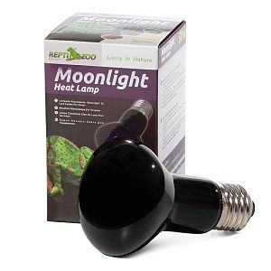 Лампа Repti-Zoo ночная «ReptiNightglow», 50 Вт