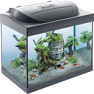 Аквариум Tetra Starter Line LED Cray, 30 л, 42x27×36 см