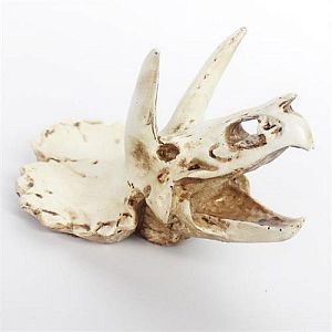 Декорация Nomoy Pet «Череп трицератопса S», 11.5х8×8 см