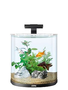 Tetra AquaArt Explorer Line GoldFish аквариумный комплект, «Полумесяц», 30 л