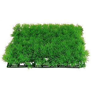 Растение Laguna «Коврик» зеленый с низкой травой, 250х250×30 мм