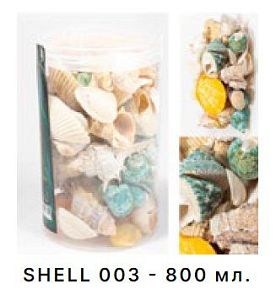 Набор морских раковин Barbus в банке 800 мл/300−400гр