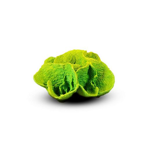 Коралл Ругоса Зеленый 13х11х6 см