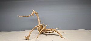 Коряга Сакура М, 30&minus;40&nbsp;см