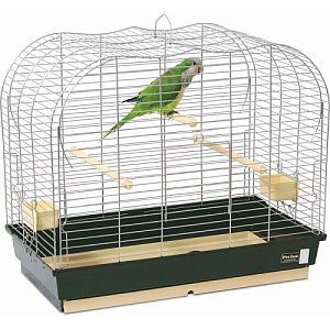 Pet Inn Клетка VULCANO для птиц, 2 большие кормушки, 2 жердочки, 65х36×55 см
