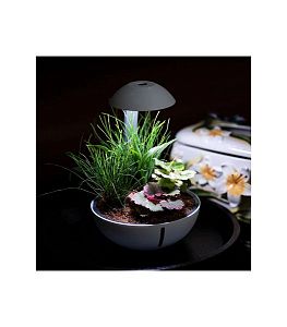 Набор для флорариума Chihiros Tiny terrarium egg в форме яйца