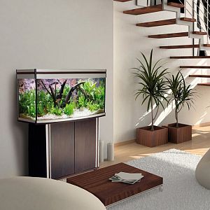 Aquael AluDekor 120&nbsp;аквариум прямой, тёмное дерево, бук, чёрный, 240&nbsp;л