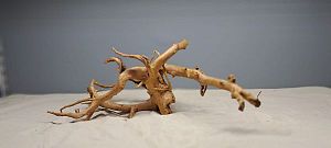 Коряга Сакура М, 30&minus;40&nbsp;см