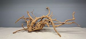 Коряга Сакура М, 30&minus;40&nbsp;см