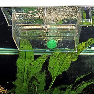 JBL BabyHome proAir отсадник с распылителем воздуха, 250×100 мм