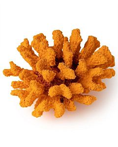 Кр-1521-с Коралл брокколи оранжевый 14*13*7 см