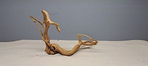 Коряга Сакура М, 30&minus;40&nbsp;см