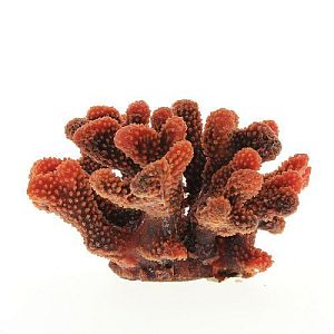 Коралл VITALITY мягкий, пластик, красный, 24x21×13,5 см