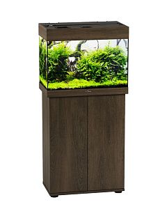 Пресноводный аквариум с&nbsp;тумбой STELLEX AQUA 60, 60&nbsp;л, 56х32&times;118&nbsp;см