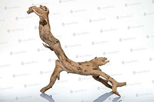 Корень дерева Aquadeco для аквариума/террариума, 50&minus;70&nbsp;см