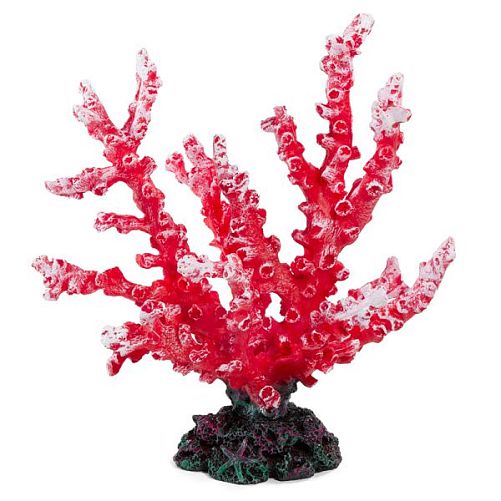 Коралл искусственный Laguna "Монтипора", красный, 180х115х190 мм