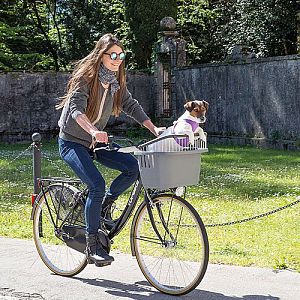Контейнер Ferplast ATLAS BIKE 20 RAPID для перевозки животных на велосипеде, 47×35,5×34,5 см