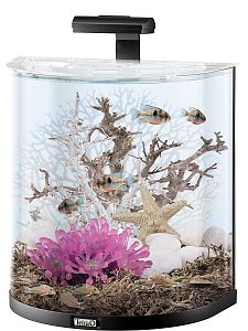 Tetra AquaArt Explorer Line аквариумный комплект, &laquo;Полумесяц&raquo;, 60&nbsp;л